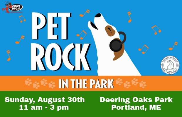 Pet Rock in the Park 2026 – Registration Now Open!