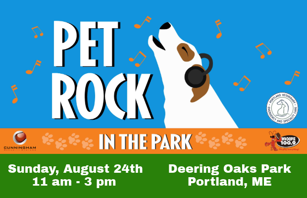 Pet Rock in the Park 2025!